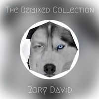 The Remixed Collection by Rory David