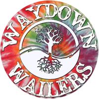 Waydown Wailers at Ives Park Concert Series
