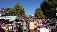 Novato Festival of Art, Wine & Music