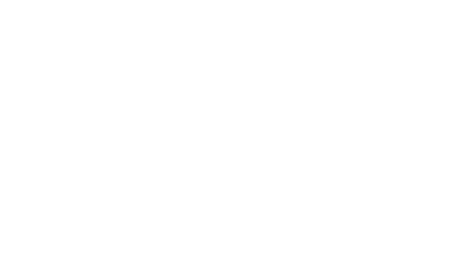 the surf junkies