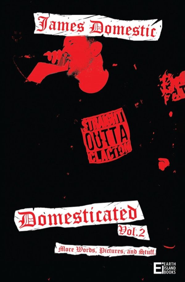 'DOMESTICATED VOL.2' BOOK BY JAMES DOMESTIC