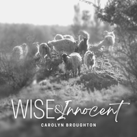 Wise & Innocent  by Carolyn Broughton 