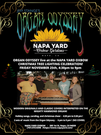 ORGAN ODYSSEY live at the NAPA YARD OXBOW - CHRISTMAS TREE LIGHTING CELEBRATION!