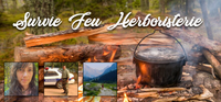 Survie en forêt, feu, herboristerie et comestibles forestiers (enfant 6 à 12 ans accompagné d'un adulte)