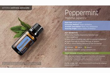 Peppermint is great for the lungs, but also smells delicious if you diffuse for a crisp, uplifting scent in your home.
