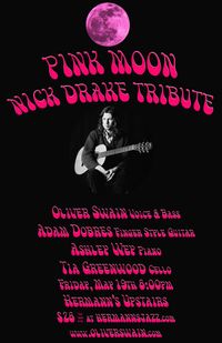 Pink Moon A Nick Drake Tribute