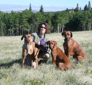 Kya, Mara & Bek (L to R) with the Collegiate Peaks behind us in CO.
