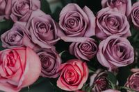 Mother's Day Magic Bundle 👑 3 Half Hour Readings 