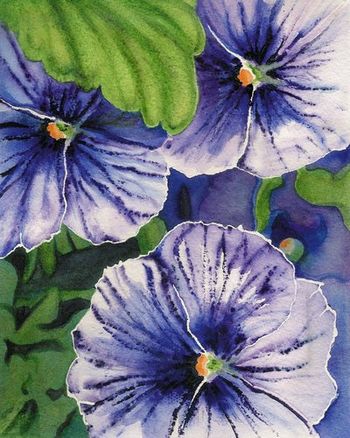 Pansies
