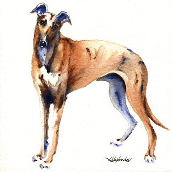 Greyhound
