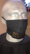 New Style SPEAR of DESTINY Face Mask