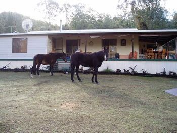 Home, Big Fella & Ange
