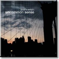 Uncommon Sense by Axel Schwintzer