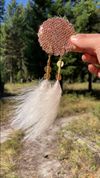 Brass & Feathers 