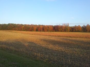 Natchez Trace National Park, TN
