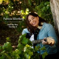 Just the Way You See It by Patricia Silverberg