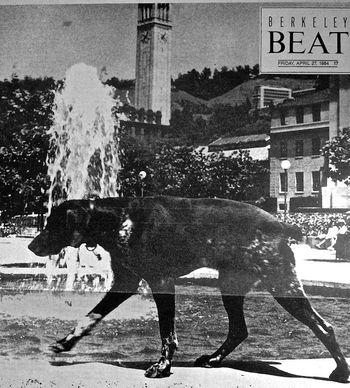 Ludvid at his fountain UCB Campus 1960's
