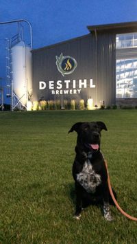 Destihl Concert Series