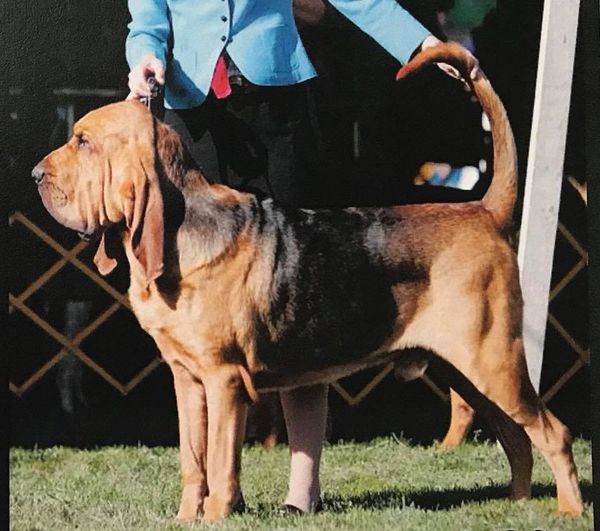 みっちー 　1001 10_250037511SD_01.jpg