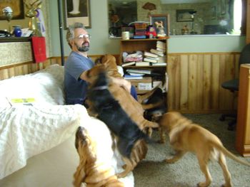 Joe & pups in living room
