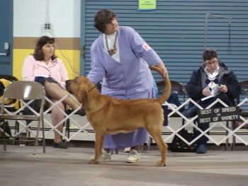 Betsy & Stretch (Red Boy) Sat
