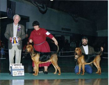 Baggins and Lola going BOB & BOS over a special at 6 months old!
