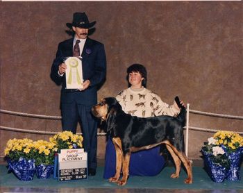 Honey's puppy group win in Boston
