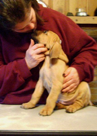 Puppy kisses make everything better

