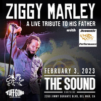 Ginger Roots Acoustic Performance at THE SOUND opening for ZIGGY MARLEY