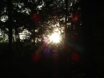 Sun
