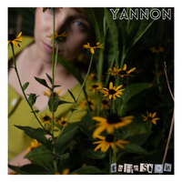 Cohesion by Yannon