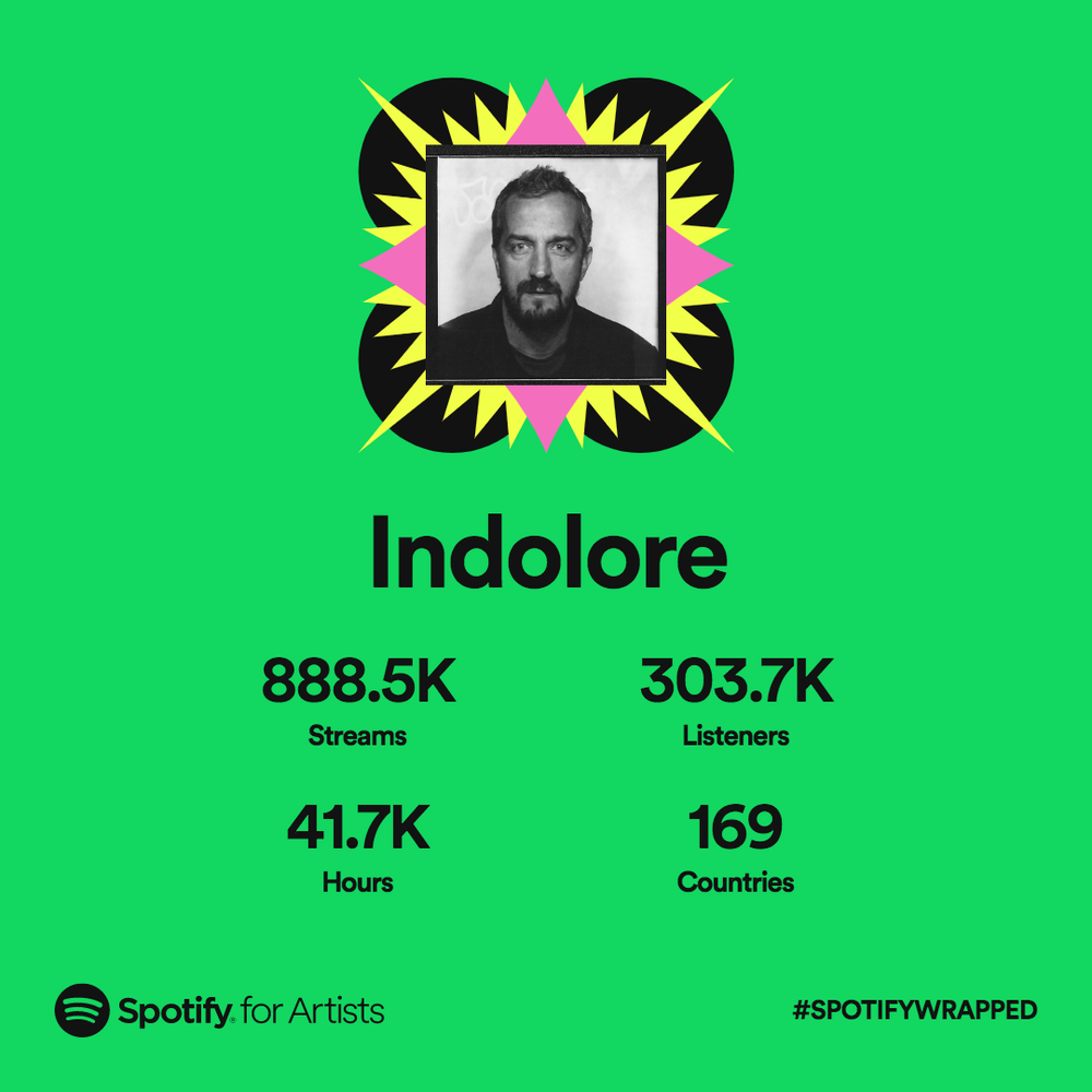 #spotifywrapped #2022artistwrapped indolore spotify