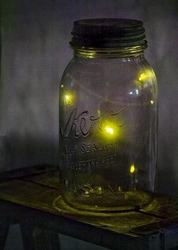 Lights In A Jar
