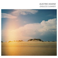 Endless Summer by Electric Hoarse