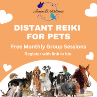 Distant Reiki for Pets