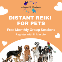 Distant Reiki for Pets