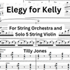 Elegy for Kelly - for String Orchestra and 5 String Viola Soloist