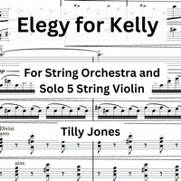 Elegy for Kelly - for String Orchestra and 5 String Viola Soloist