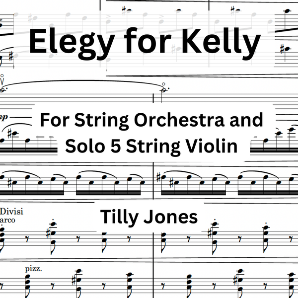Elegy for Kelly - for String Orchestra and 5 String Viola Soloist