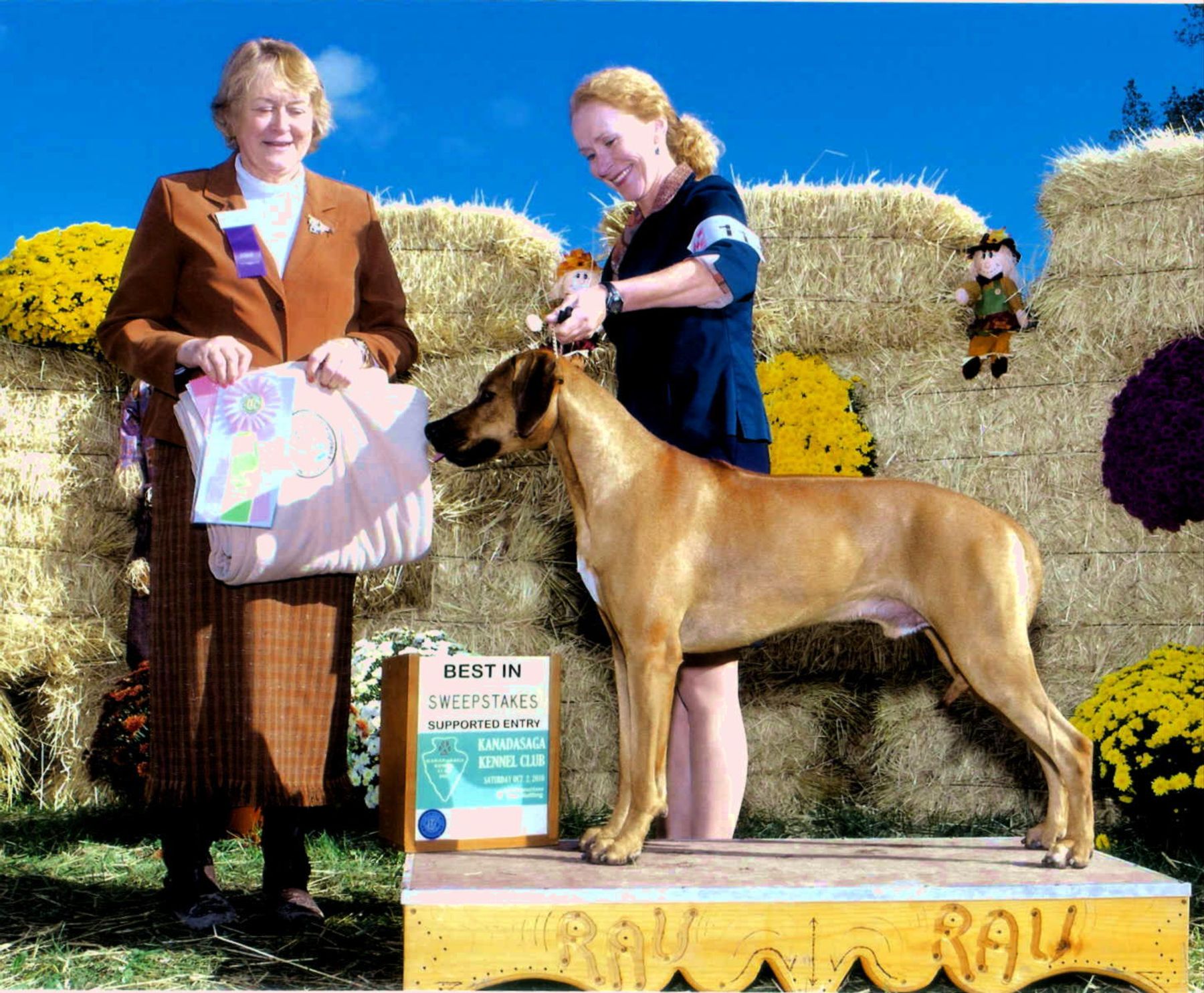 Rodeo ridgeback sales