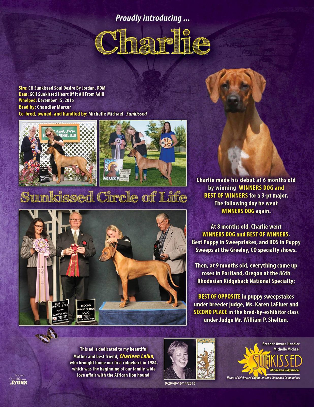 TerraCotta Kennels Charlie X Polly 3/20/2020