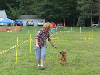 Puppy match August 2009.
