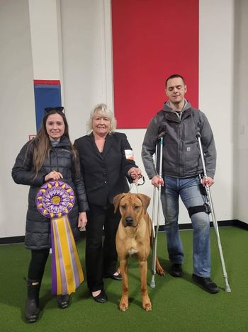 Rogue - UKC Reserve Best in Show!!
