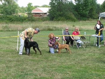 He beat his sister for Best of Breed.
