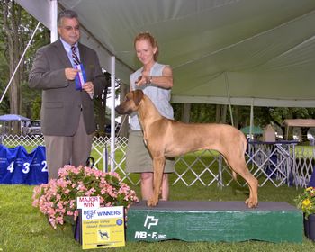 A major win under breeder judge Neil McDevitt
