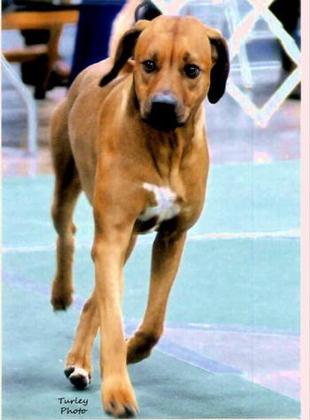 Victor coming at you in the group ring!
