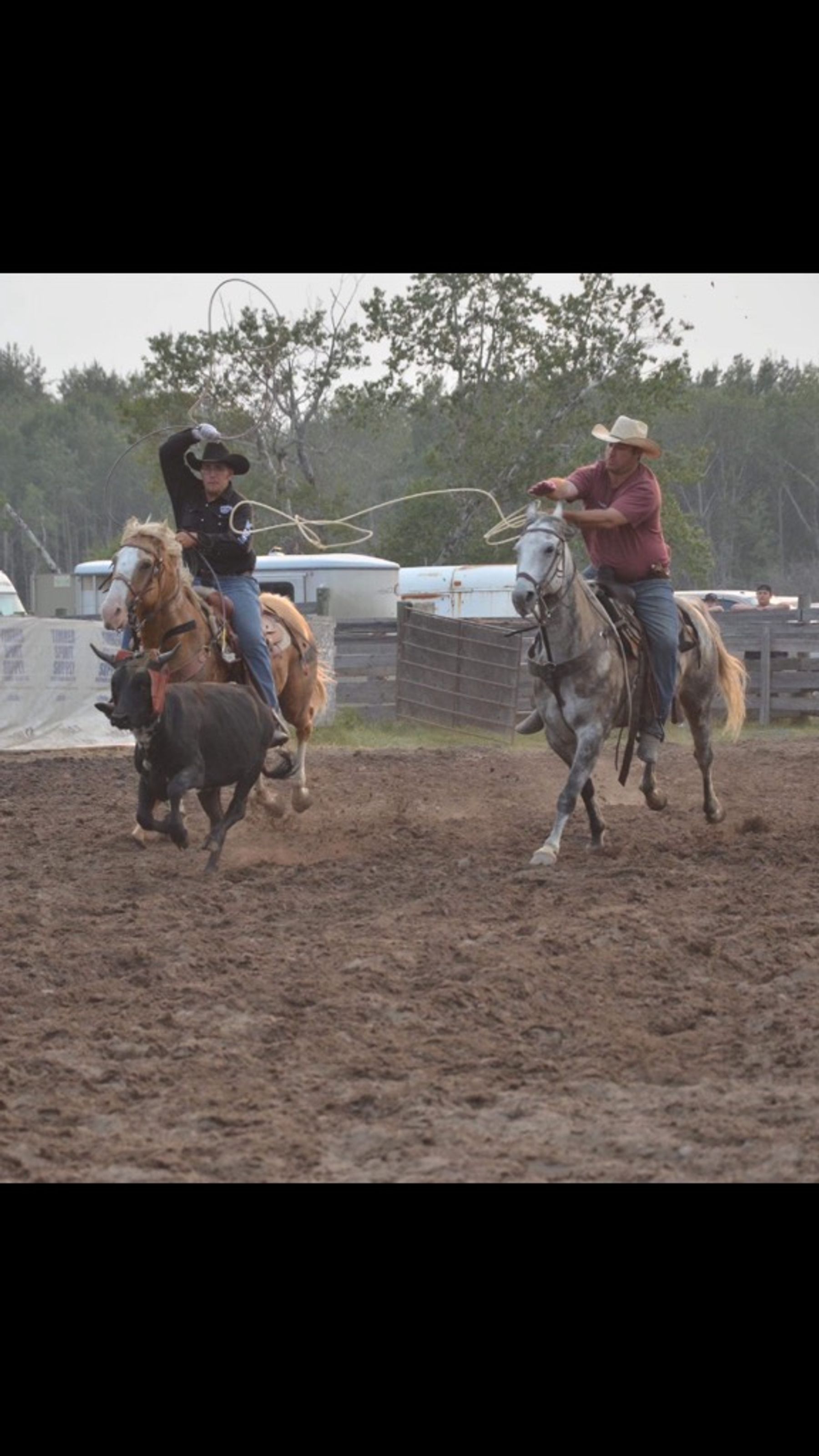 Anderson Performance Horses