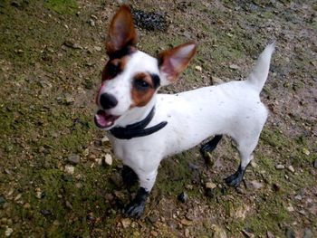 POPPY WEARING SOME LOVELY BLACK BOOTS !
