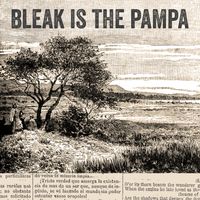Bleak is the Pampa by Charlie O'Brien 
