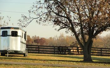 So happy with my horse trailer I park in the back yard so I can keep a close eye on it.
